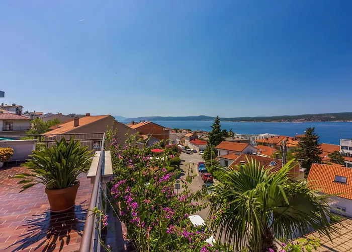 Bugenvilija Crikvenica